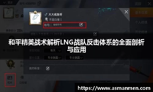 和平精英战术解析LNG战队反击体系的全面剖析与应用