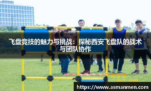 飞盘竞技的魅力与挑战：探秘西安飞盘队的战术与团队协作